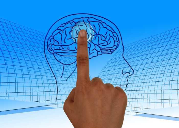 Neuropsicopedagogia Clínica e Institucional