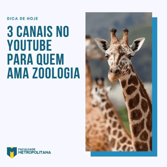 3 Canais no YouTube de Zoologia