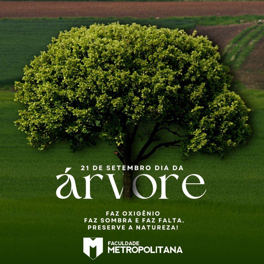 21 DE SETEMBRO – DIA DA ÁRVORE